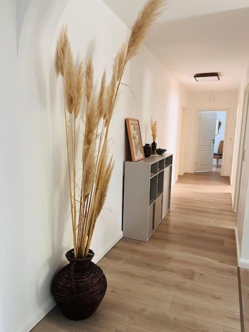 Ferienwohnung Kleinmann In Kordel 外观 照片
